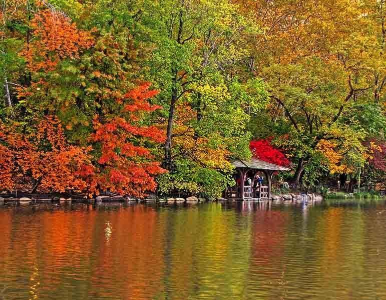 Central Park บูคาเรสต์ ห้อง รูปภาพ