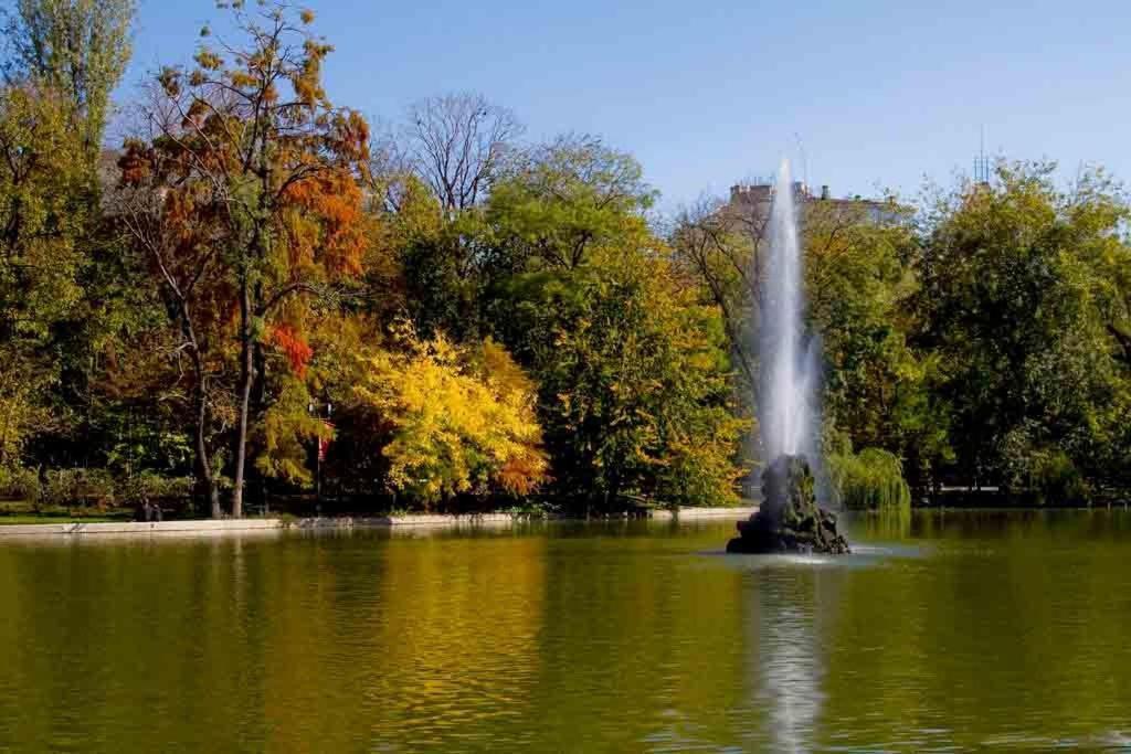 Central Park บูคาเรสต์ ห้อง รูปภาพ