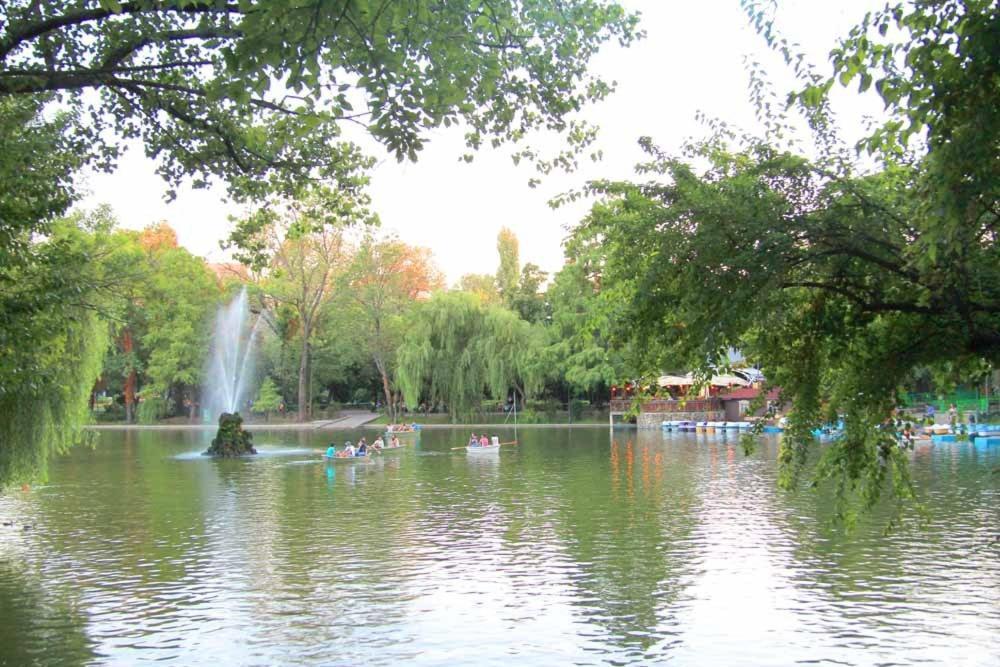 Central Park บูคาเรสต์ ห้อง รูปภาพ