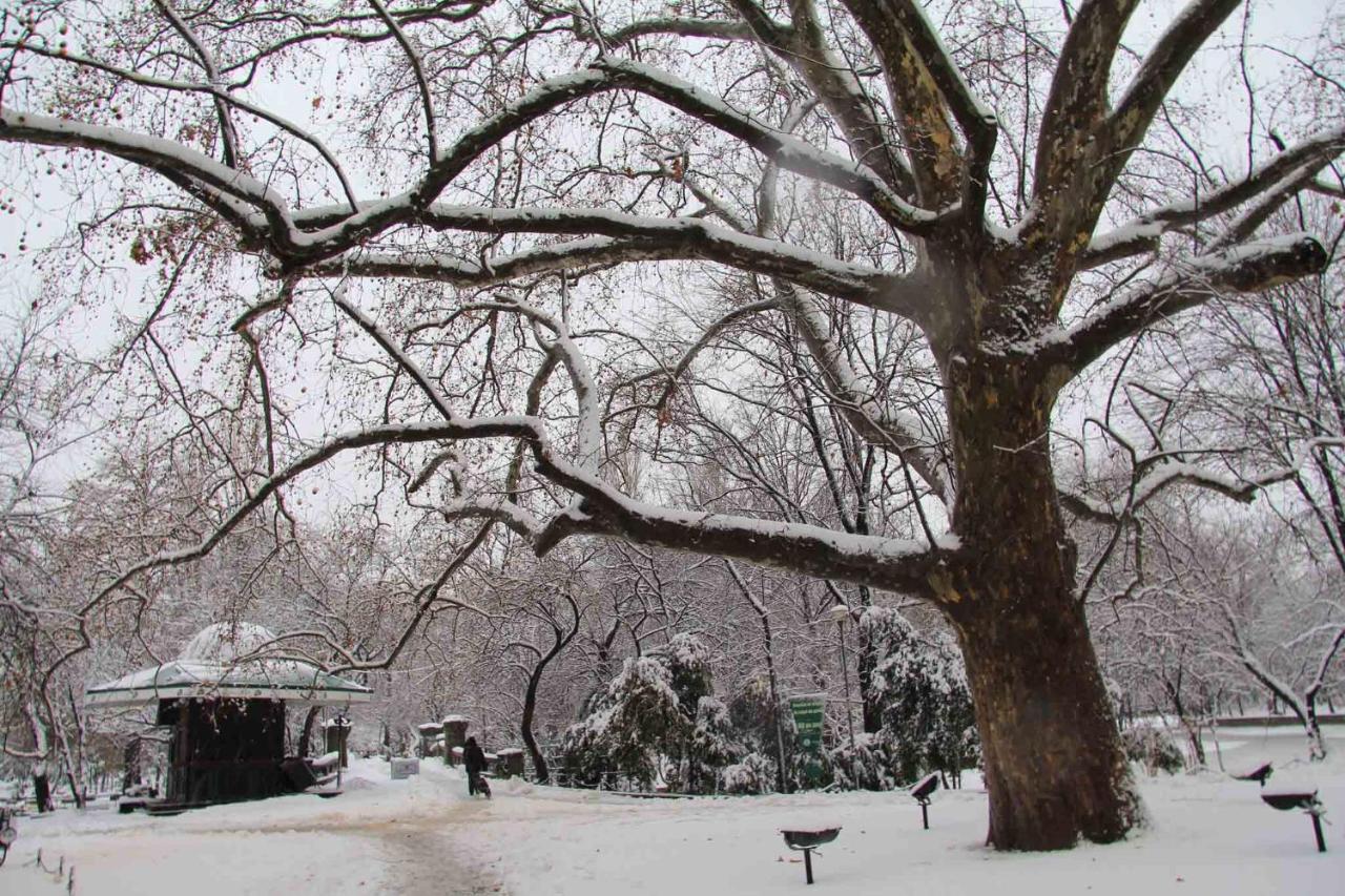Central Park บูคาเรสต์ ภายนอก รูปภาพ